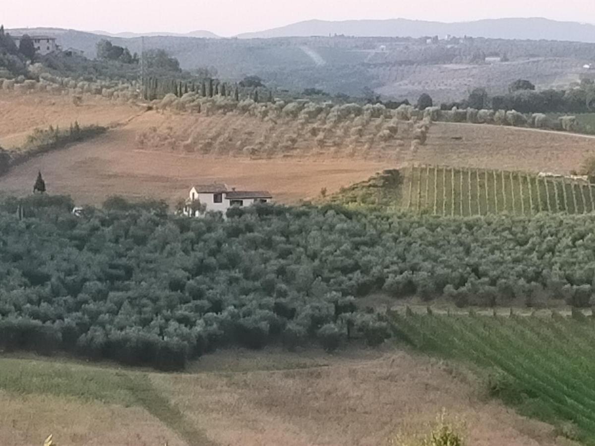 Villa Degli Olivi Nature Сієна Екстер'єр фото